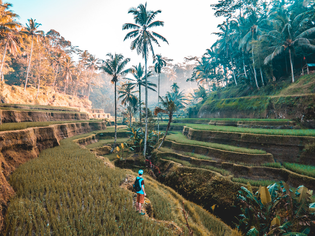 Travel Bali